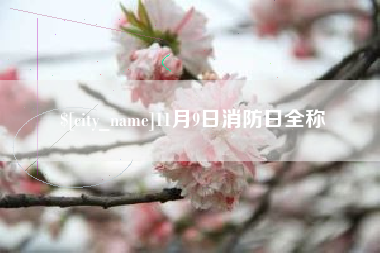 泸州11月9日消防日全称