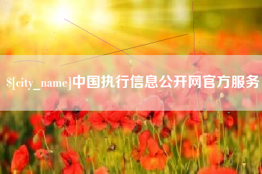 泸州中国执行信息公开网官方服务