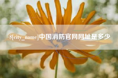 泸州中国消防官网网址是多少