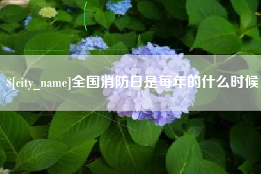 泸州全国消防日是每年的什么时候