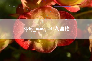 泸州2019九宫格