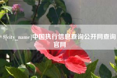 泸州中国执行信息查询公开网查询官网