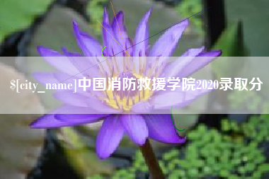 泸州中国消防救援学院2020录取分