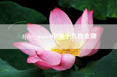 泸州中国十九枚金牌