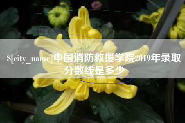 泸州中国消防救援学院2019年录取分数线是多少