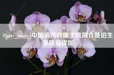 泸州中国消防救援学院简介及招生章程指挥部