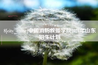 泸州中国消防救援学院2021年山东招生计划