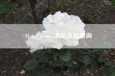 泸州消防证的查询