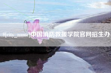 泸州中国消防救援学院官网招生办