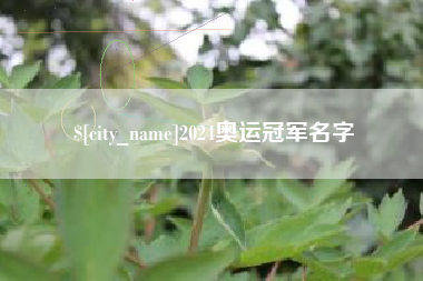 泸州2024奥运冠军名字