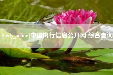 泸州中国执行信息公开网 综合查询