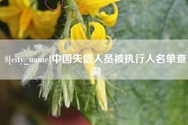 泸州中国失信人员被执行人名单查询