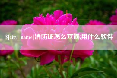 泸州消防证怎么查询,用什么软件