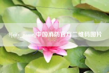 泸州中国消防官方二维码图片