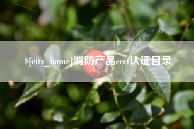 泸州消防产品cccf认证目录