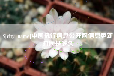 泸州中国执行信息公开网信息更新时间是多久