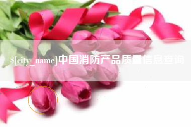 泸州中国消防产品质量信息查询