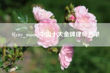泸州中国十大金牌律师名单