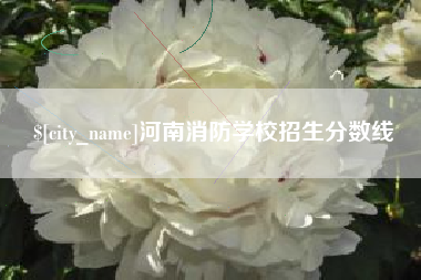 泸州河南消防学校招生分数线