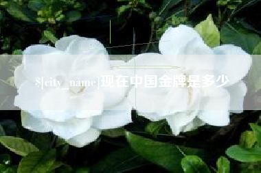 泸州现在中国金牌是多少