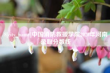 泸州中国消防救援学院2020年河南录取分数线