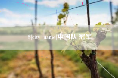 泸州中国队 冠军