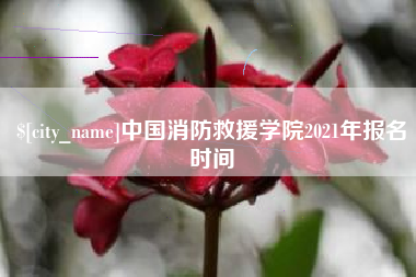 泸州中国消防救援学院2021年报名时间