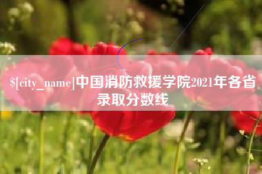 泸州中国消防救援学院2021年各省录取分数线