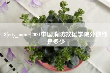 泸州2021中国消防救援学院分数线是多少