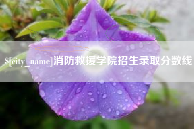 泸州消防救援学院招生录取分数线