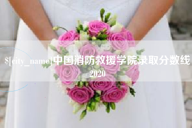 泸州中国消防救援学院录取分数线2020