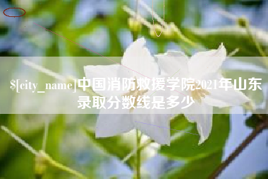 泸州中国消防救援学院2021年山东录取分数线是多少
