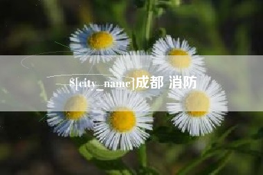 泸州成都 消防