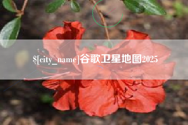 泸州谷歌卫星地图2025
