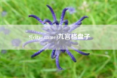泸州九宫格盘子