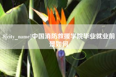 泸州中国消防救援学院毕业就业前景如何