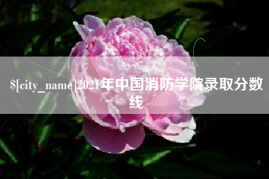 泸州2021年中国消防学院录取分数线