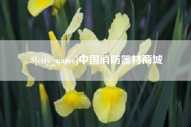 泸州中国消防器材商城
