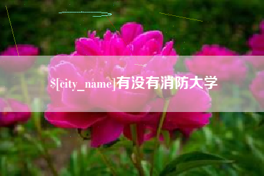 泸州有没有消防大学