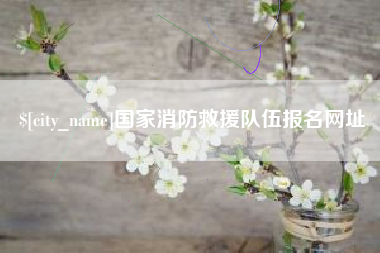 泸州国家消防救援队伍报名网址