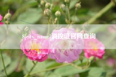 泸州消控证官网查询