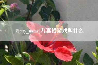 泸州九宫格游戏叫什么