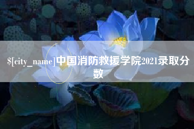 泸州中国消防救援学院2021录取分数