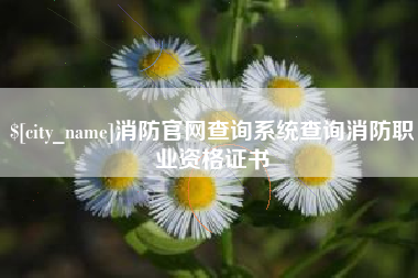 泸州消防官网查询系统查询消防职业资格证书