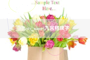 泸州九宫格牌子