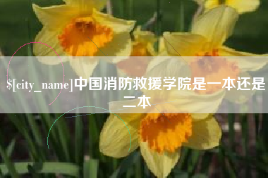 泸州中国消防救援学院是一本还是二本