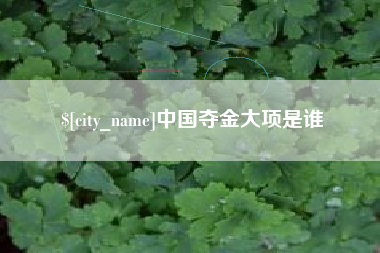 泸州中国夺金大项是谁