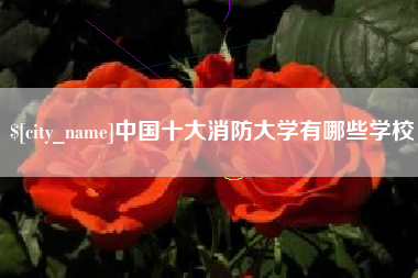 泸州中国十大消防大学有哪些学校