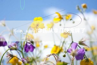 泸州中国队拿几块金牌了