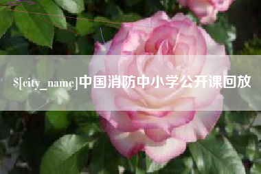 泸州中国消防中小学公开课回放